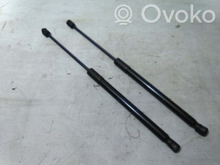 Tailgate/trunk strut/damper   8200583852