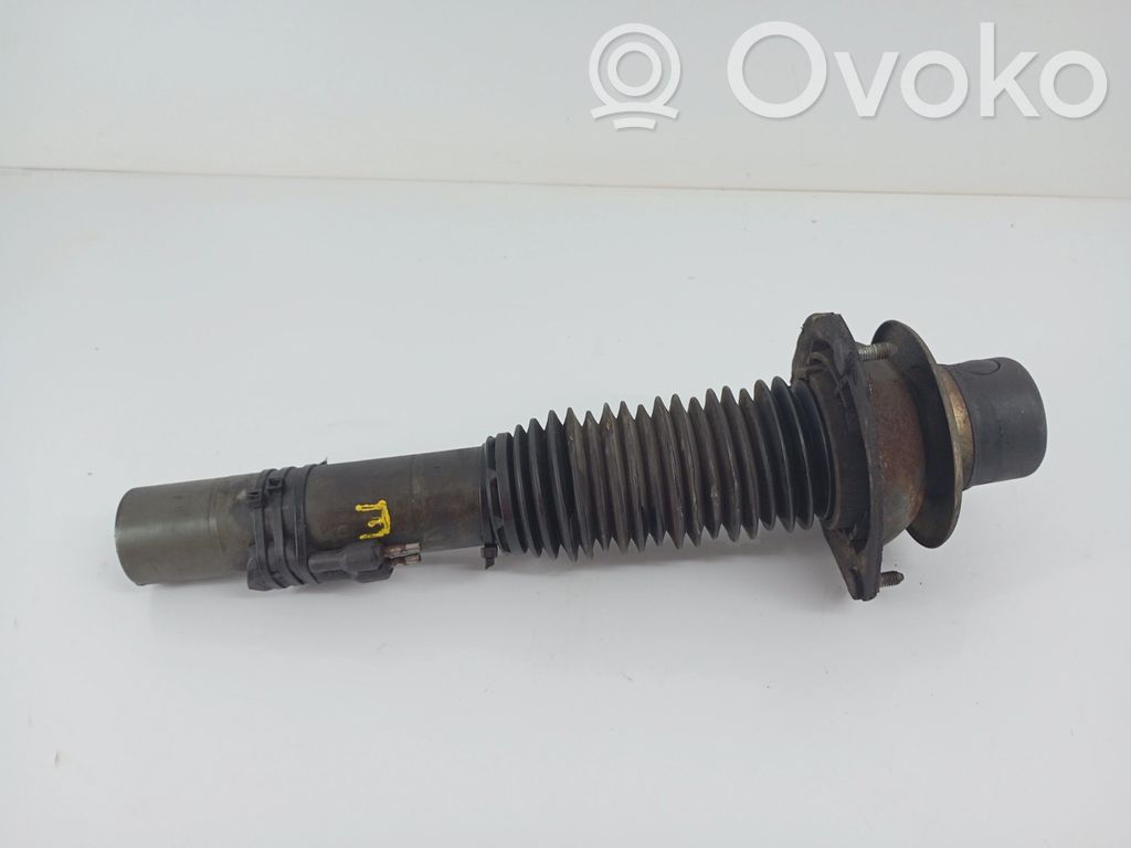 Front shock absorber/damper