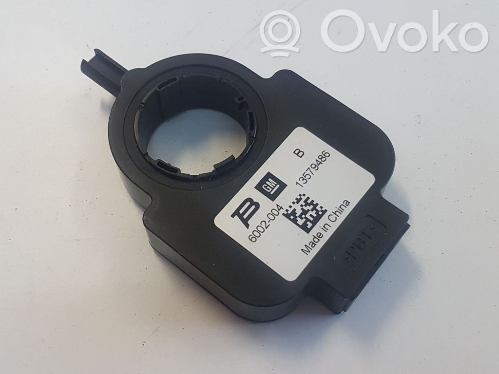 Steering angle sensor   13579486,6002004
