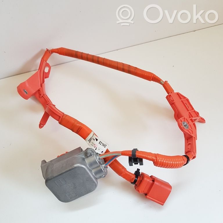 Toyota C-HR I Otros cableados 