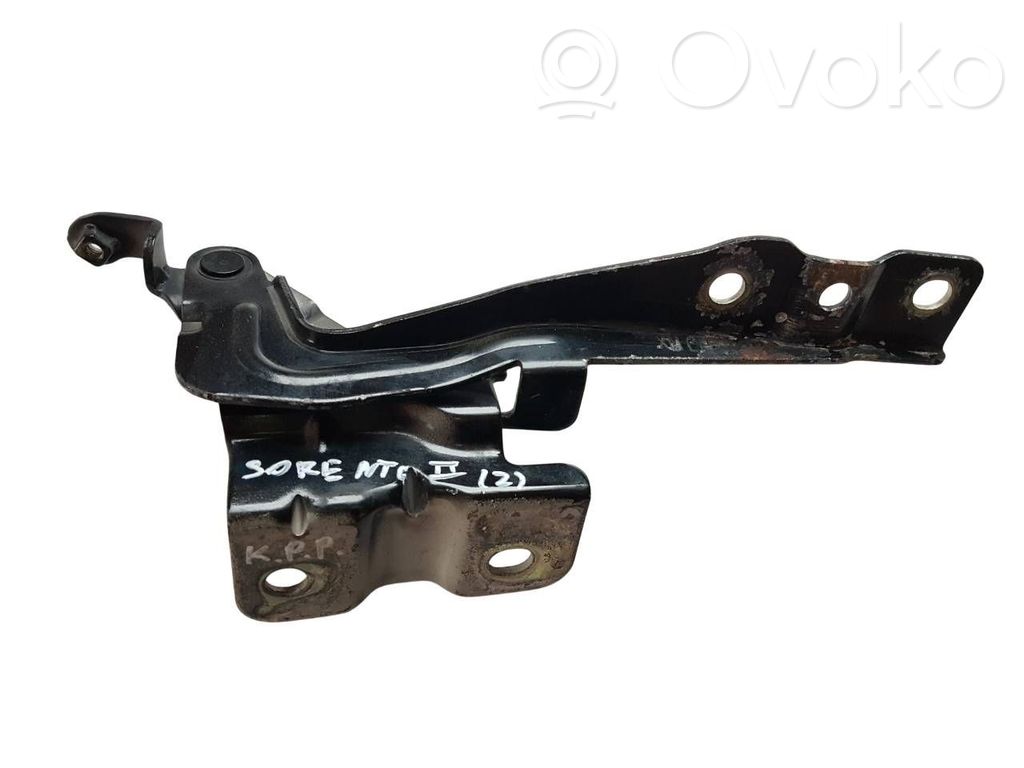 Engine bonnet/hood hinges   791102P000