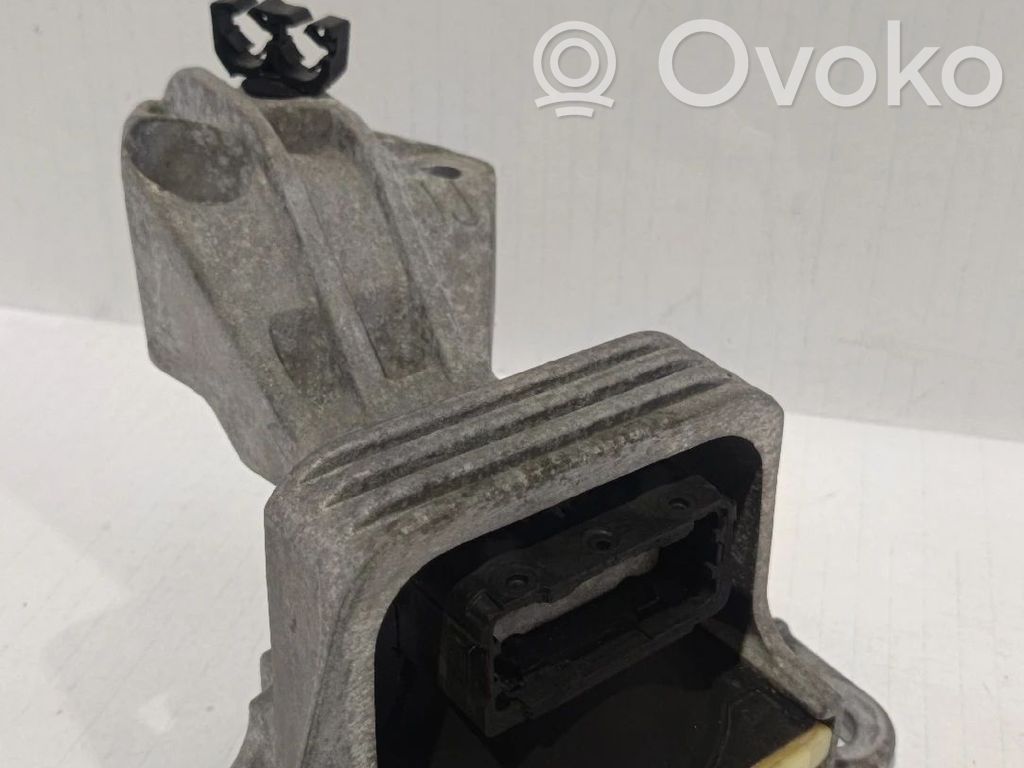 Renault Megane III Suport tampon motor 