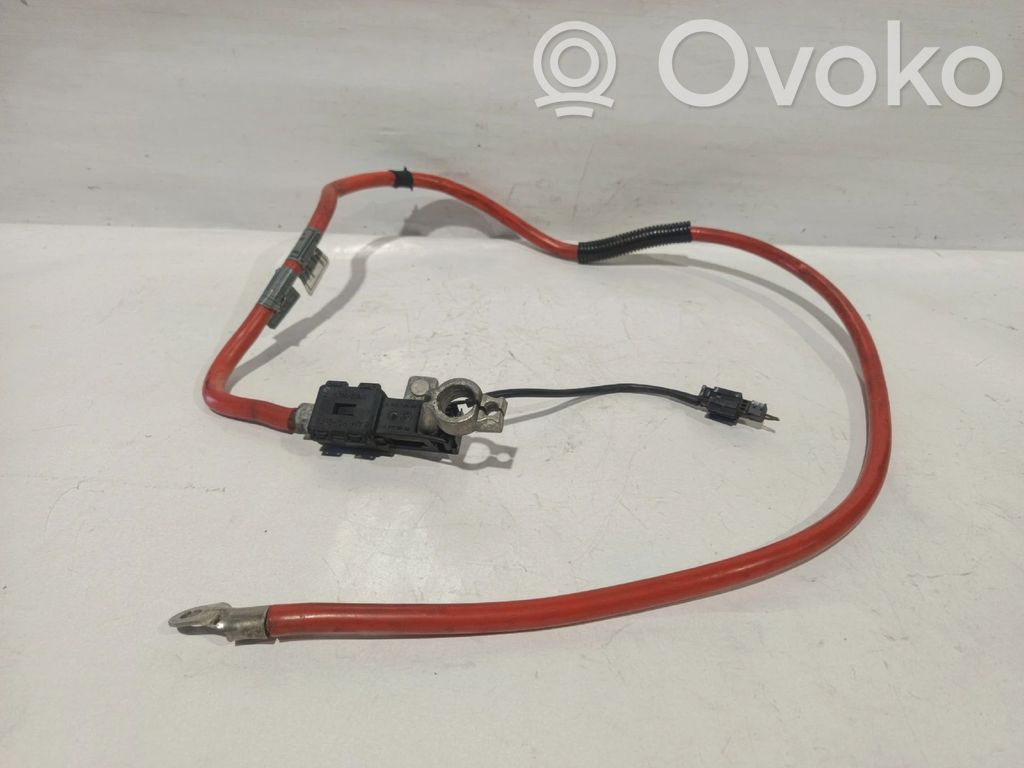 Cableado positivo   690874504,10304410