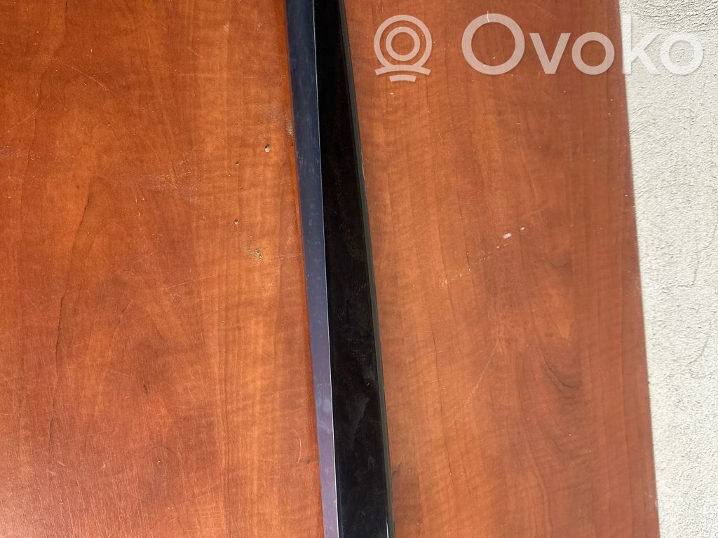 BMW 5 F10 F11 Alte componente panou ușă spate 