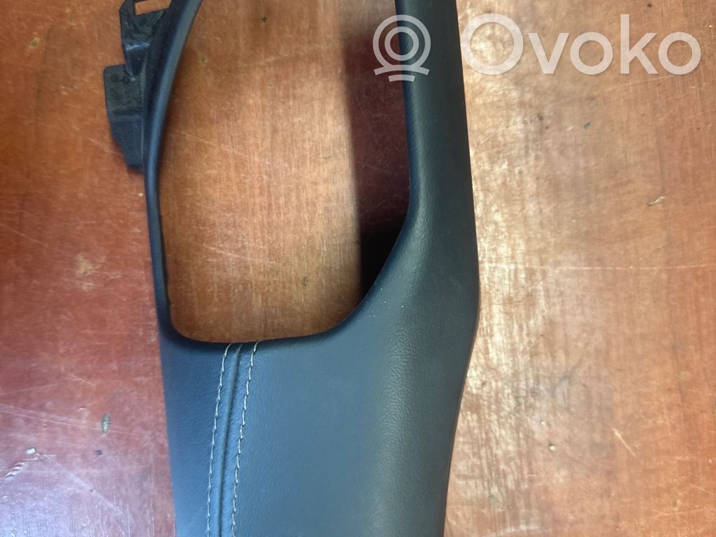 Dodge RAM Panel trim 