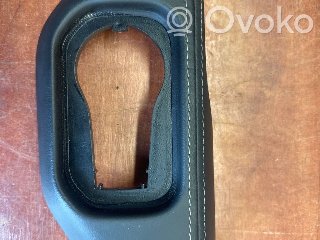 Dodge RAM Panel trim 