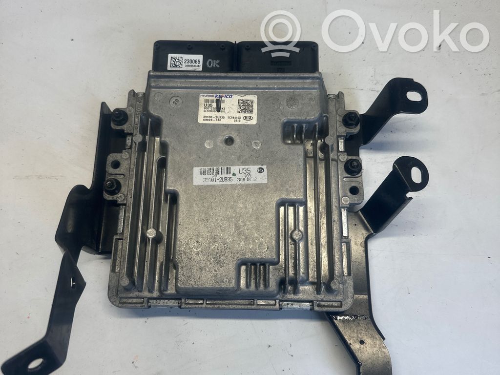 KIA Sportage Engine control unit/module 