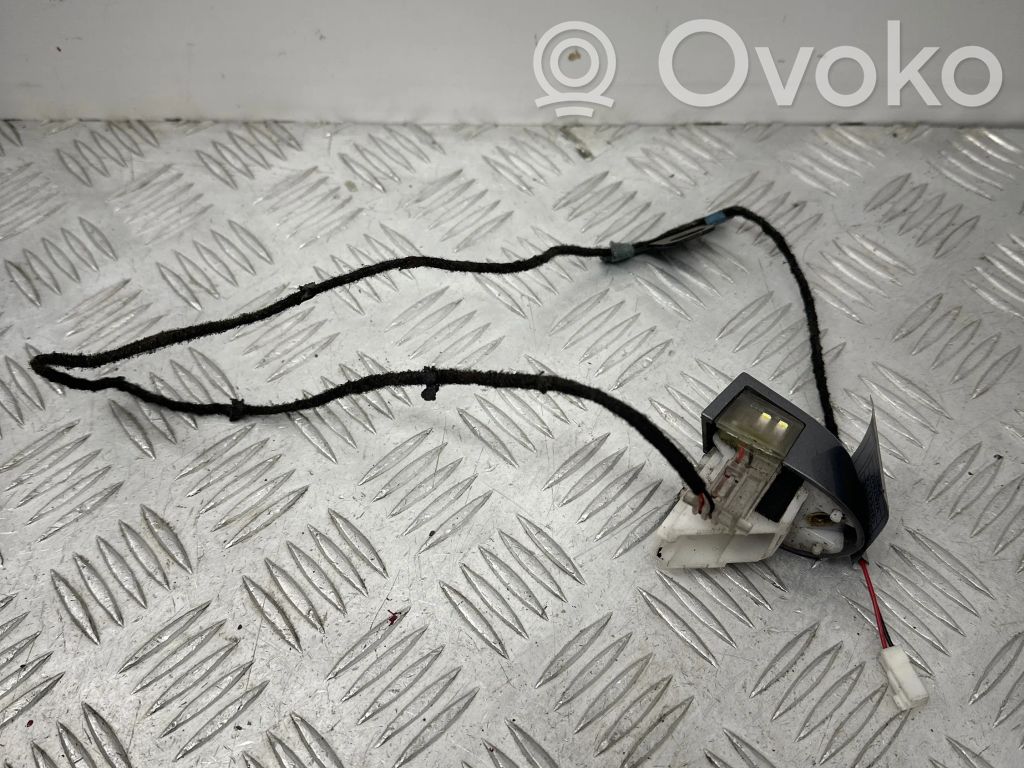 BMW X5 E70 Luz externa de la manecilla de la puerta trasera 