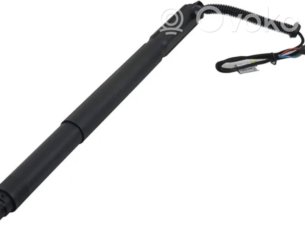 BMW X6 E71 Tailgate/trunk strut/damper 