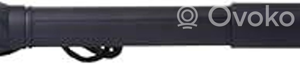 BMW X5 E70 Tailgate/trunk strut/damper 