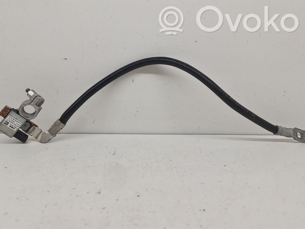 BMW Z4 E89 Negative earth cable (battery) 