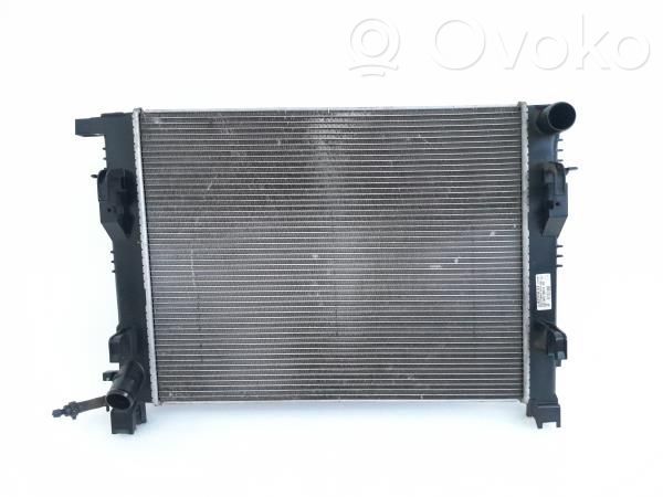 Coolant radiator   214107326R,214100055R,214100078R,214101612R,214102590R,214104225R,214105423R,214105731R,214106179R,214106473R,214106630R,214107326R,8660003460,8660005517,8660005531