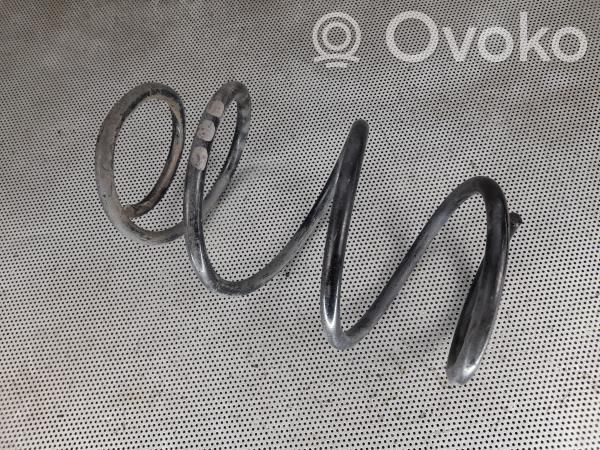 Front coil spring   FRENTE,DTO