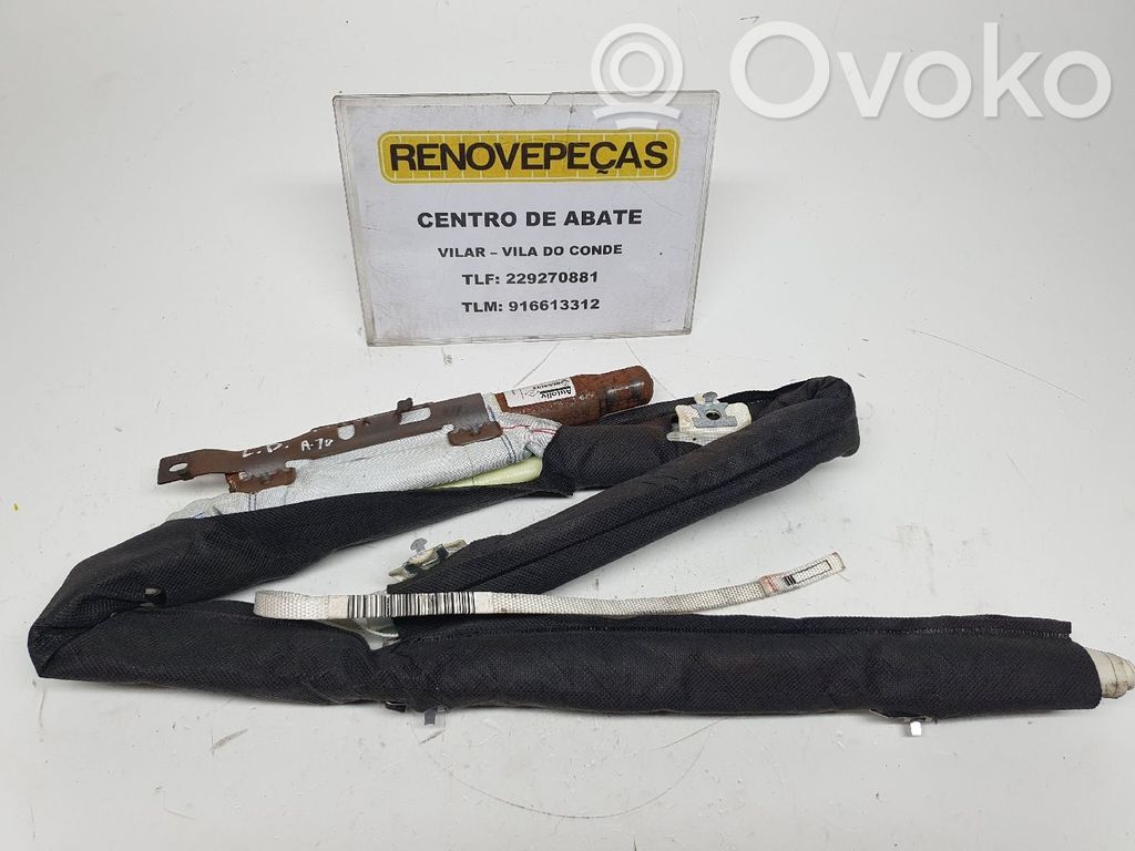 Renault Megane III Airbag del techo 