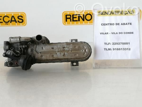 Volkswagen Golf V Refrigerador de la válvula EGR 