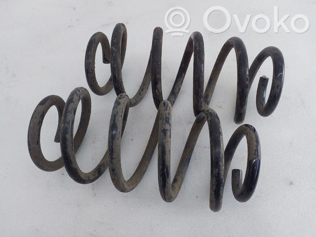 Front coil spring