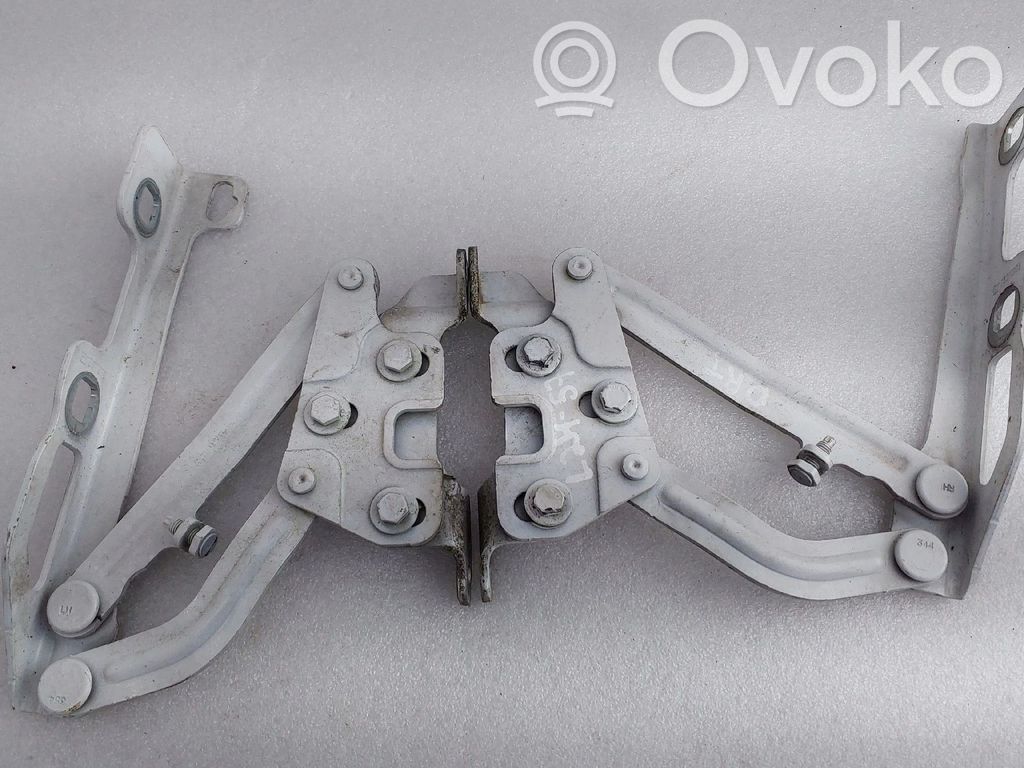 Engine bonnet/hood hinges   13186899LH