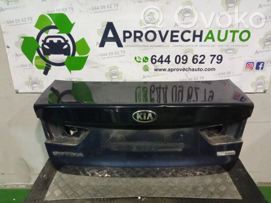 KIA Optima Rear door handle cover 
