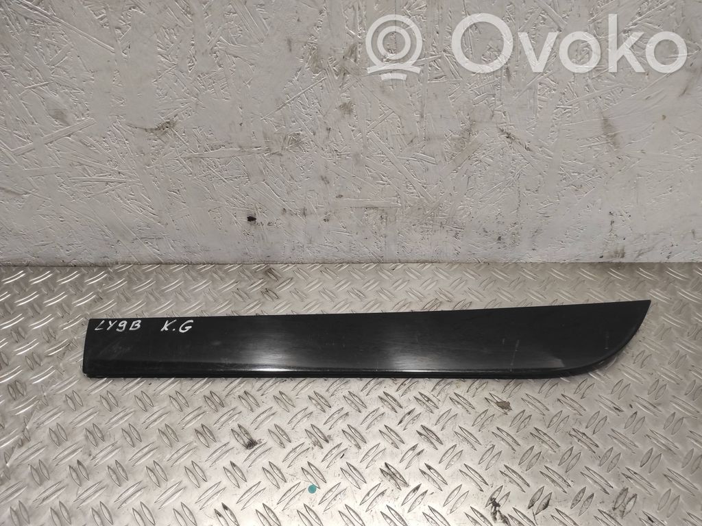 Audi A6 S6 C6 4F Apdaila galinių durų (moldingas) 