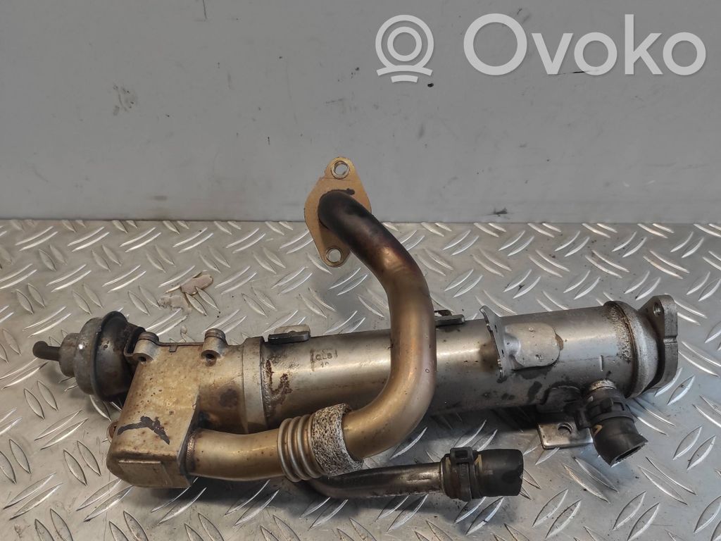 Seat Exeo (3R) Chłodnica spalin EGR 