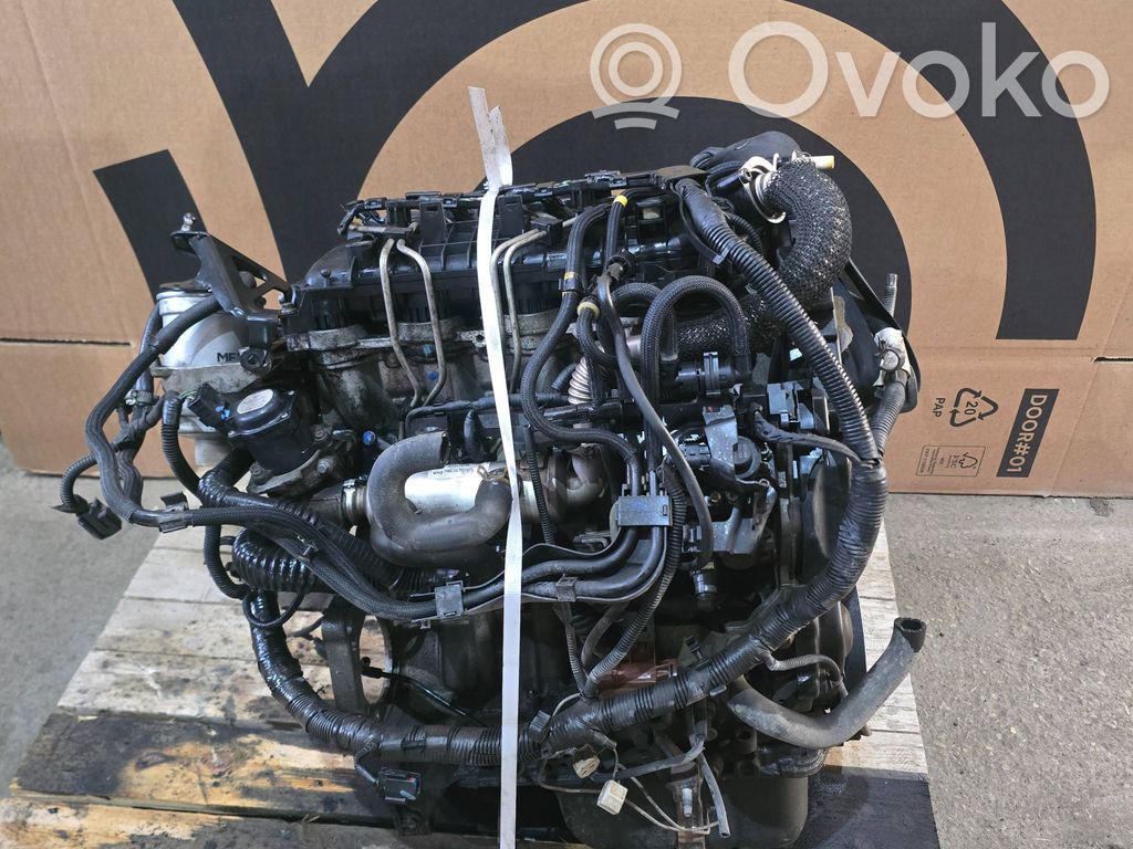 Двигатель   D4164T,6901438,115620