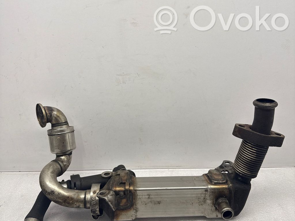 BMW 5 E60 E61 EGR aušintuvas 