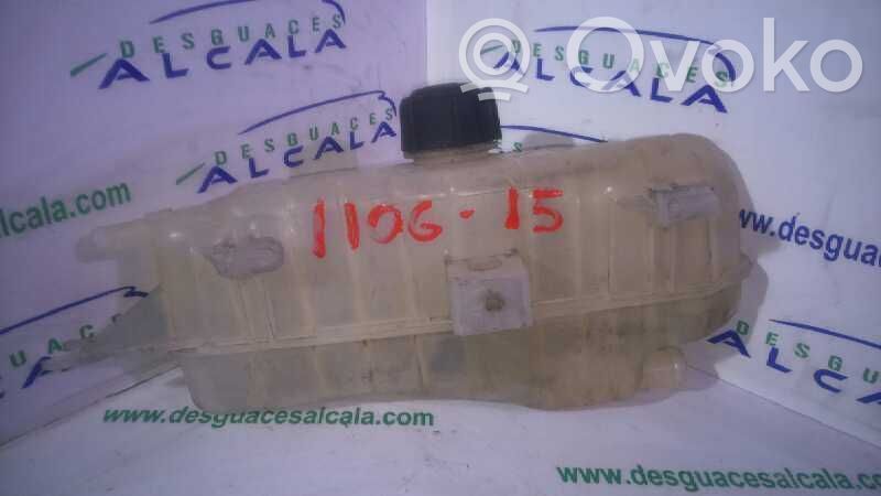 Renault Clio III Vas expansiune combustibil 