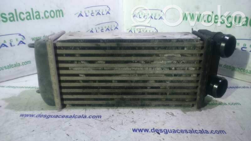 Peugeot 206 Coolant radiator 