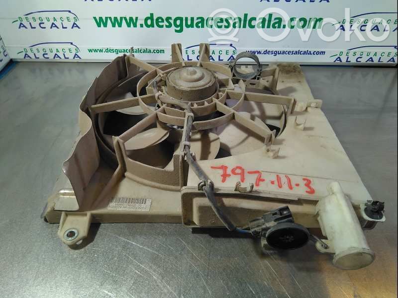 Elektrolüfter   163600Q02000,5020378MP