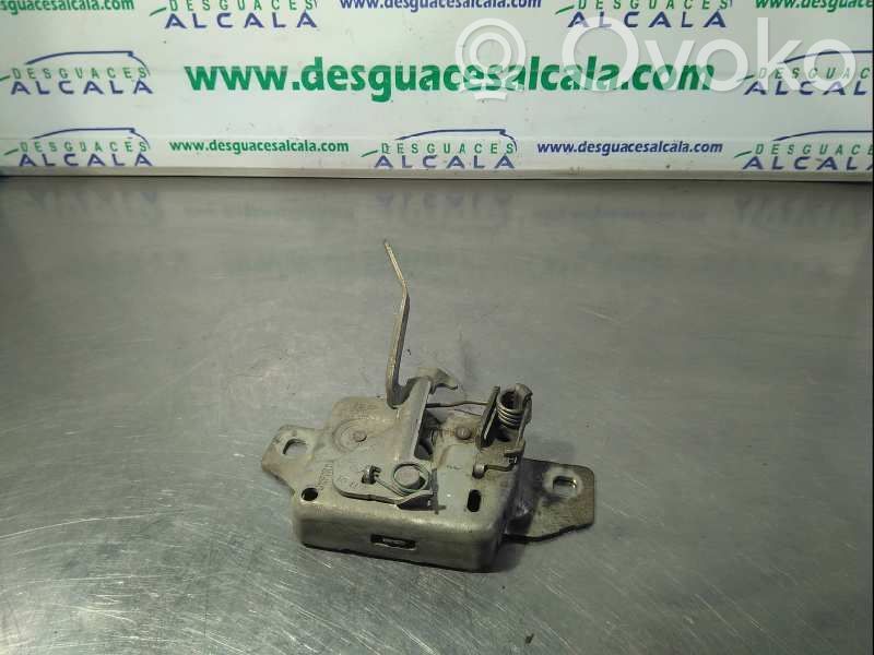 Tie down hook / loop   656018201R