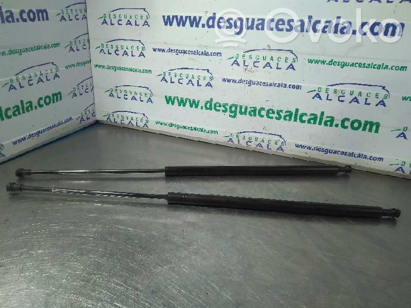Tailgate/trunk strut/damper   64CM