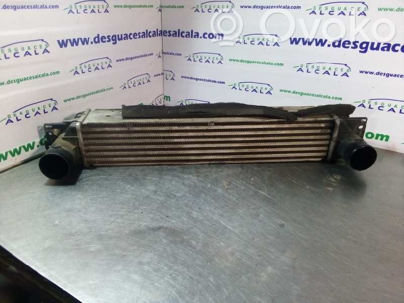 Intercooler radiator   4805404