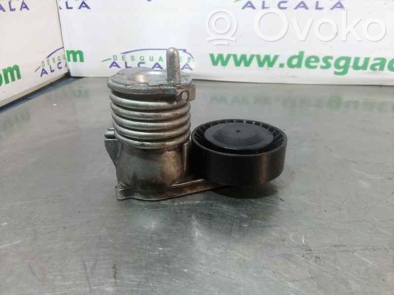 Tensor de correa del alternador