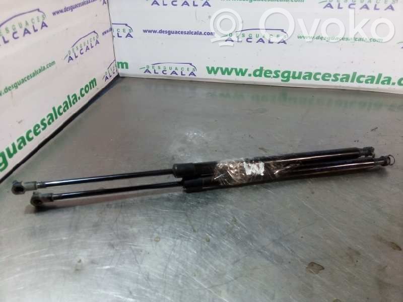 Tailgate/trunk strut/damper   515CM