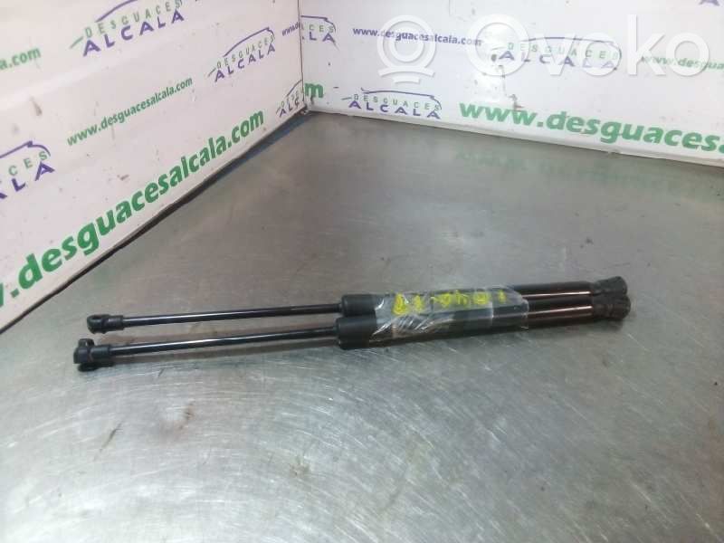 Renault Kadjar Tailgate/trunk strut/damper 