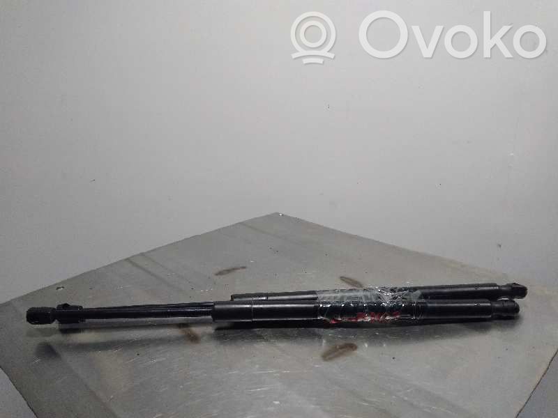 Tailgate/trunk strut/damper   525CM