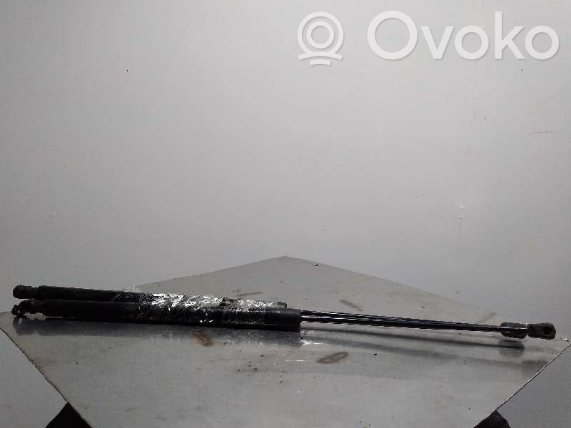 Fiat Tipo Tailgate/trunk strut/damper 
