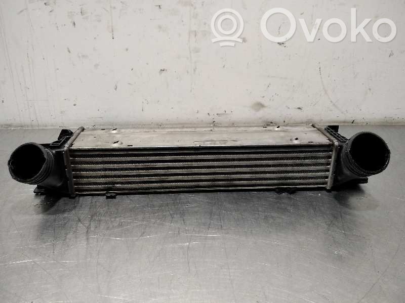 Intercooler radiator   7798788