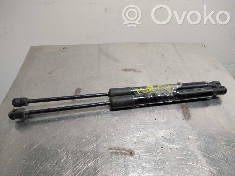 Opel Crossland X Tailgate/trunk strut/damper 