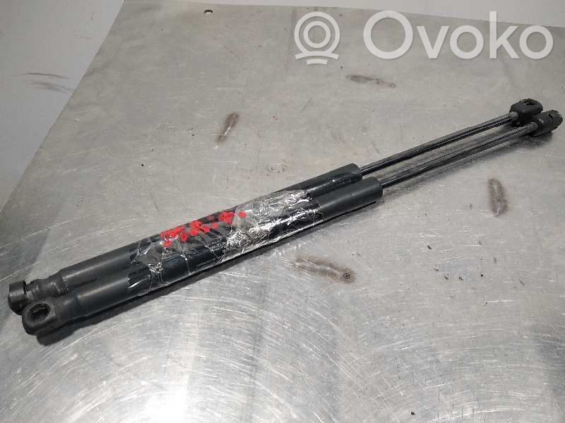 Tailgate/trunk strut/damper
