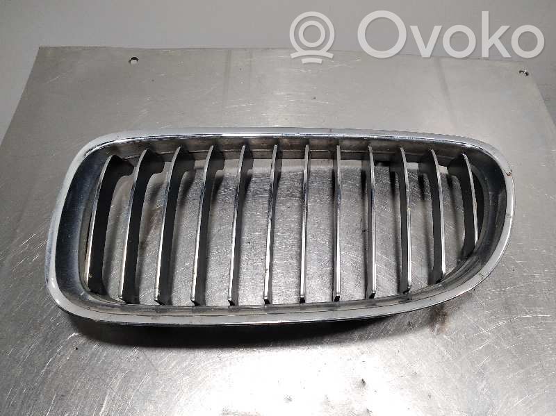 Fender grill   51712146911