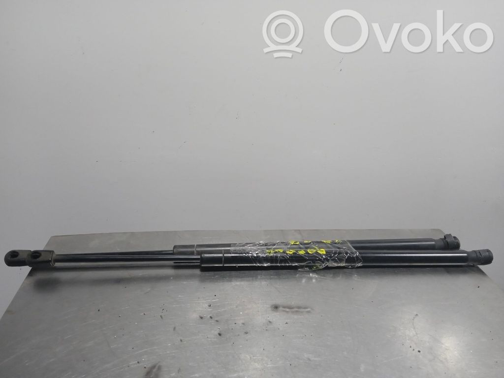 Tailgate/trunk strut/damper