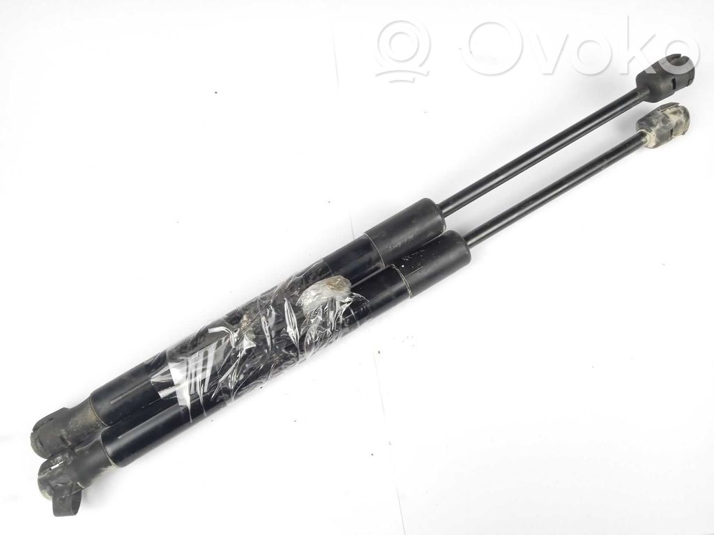 Land Rover Discovery Sport Ammortizzatore portellone anteriore/cofano 