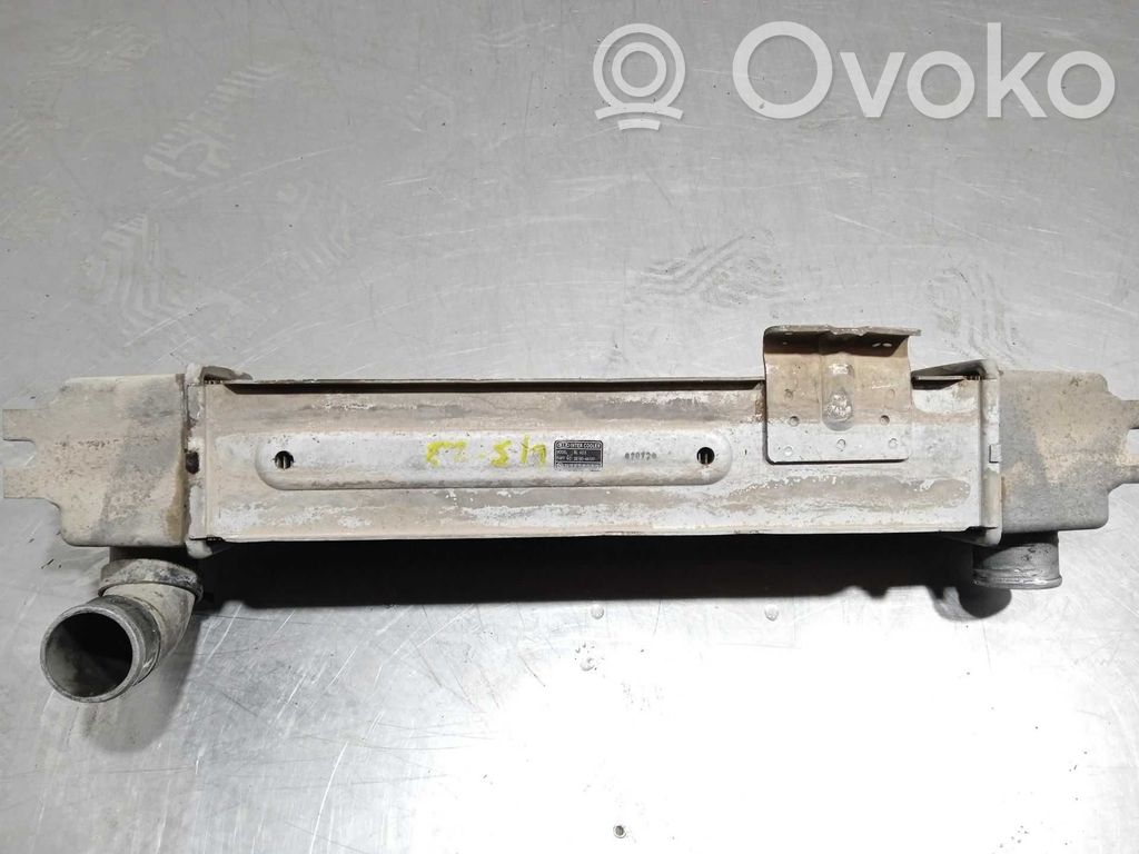 Radiador intercooler   281904A101