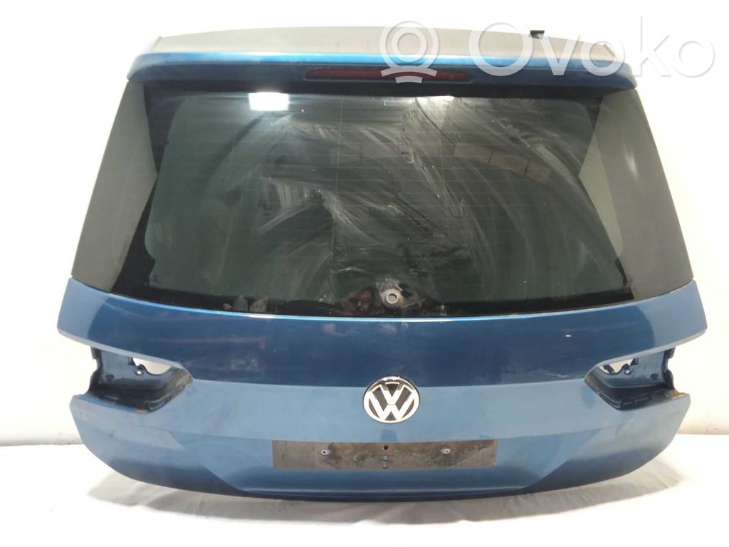 Volkswagen Tiguan Drzwi tylne 