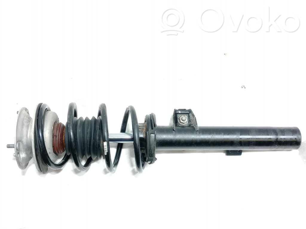 Front shock absorber with coil spring   31316768919