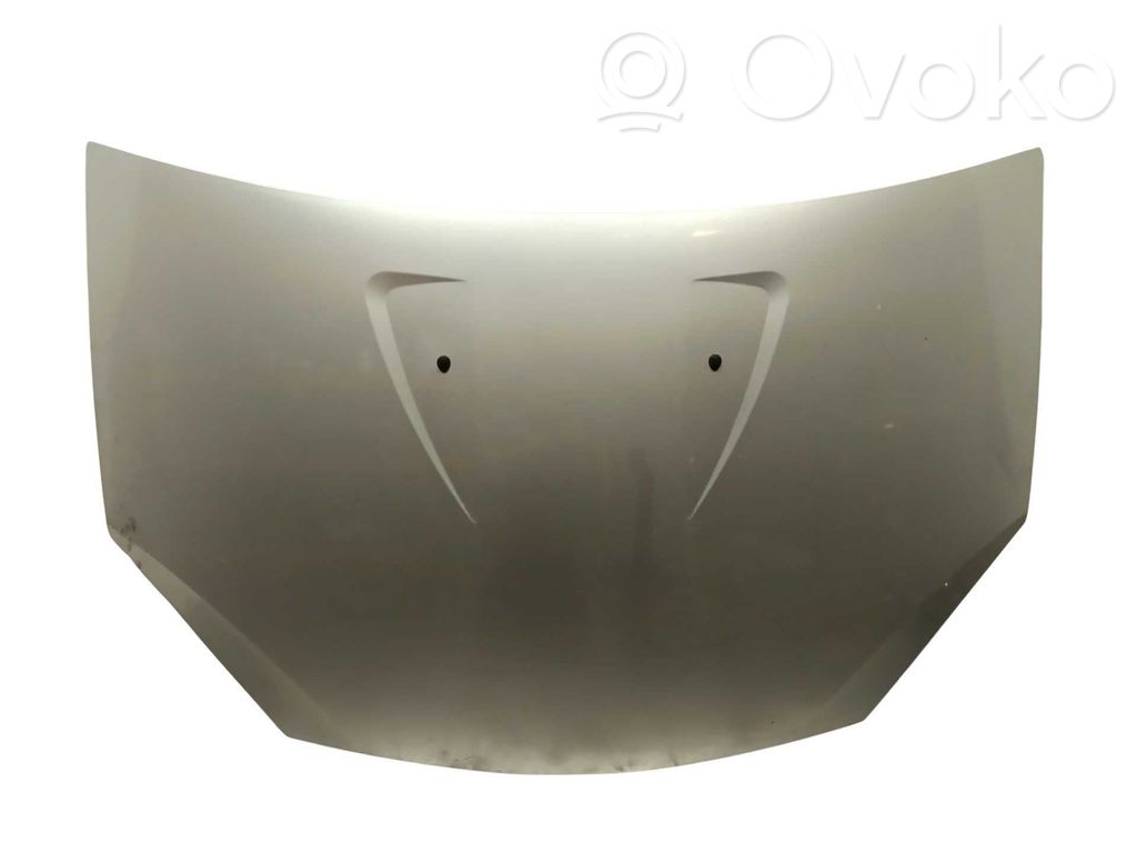 Dacia Sandero Motorhaube 