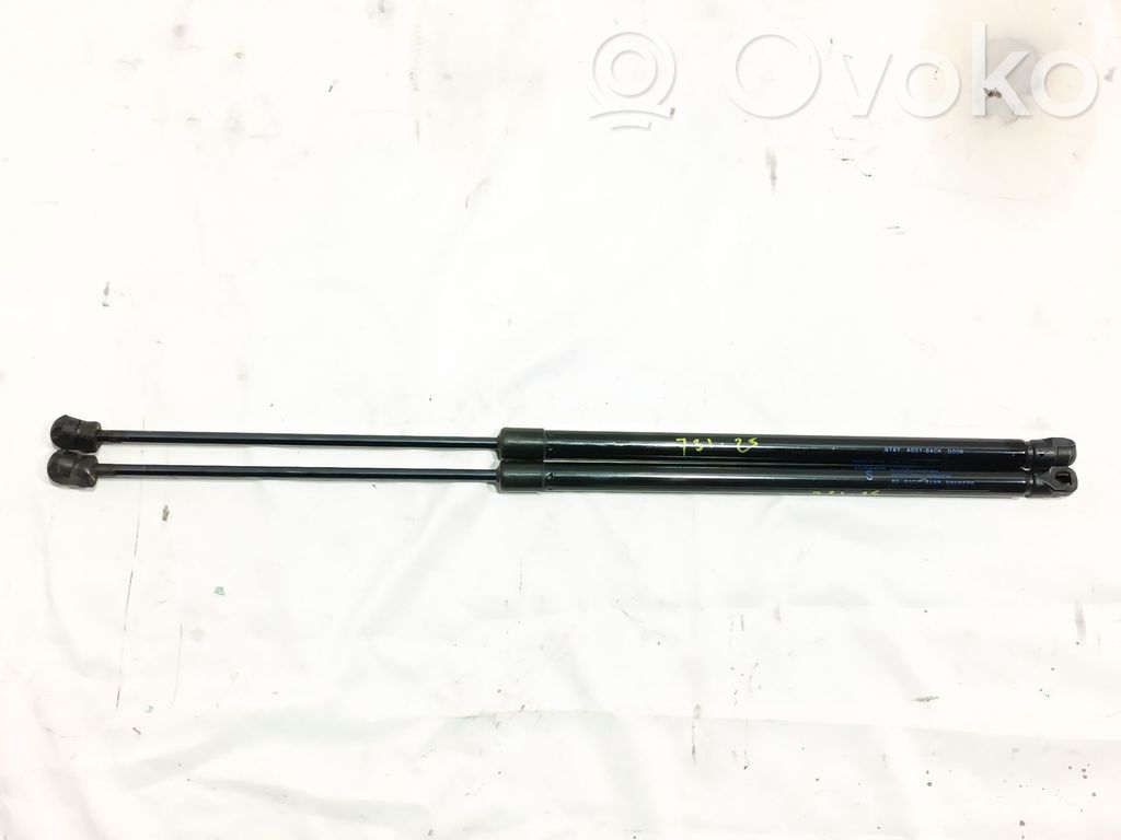 Tailgate/trunk strut/damper   904503VV0B