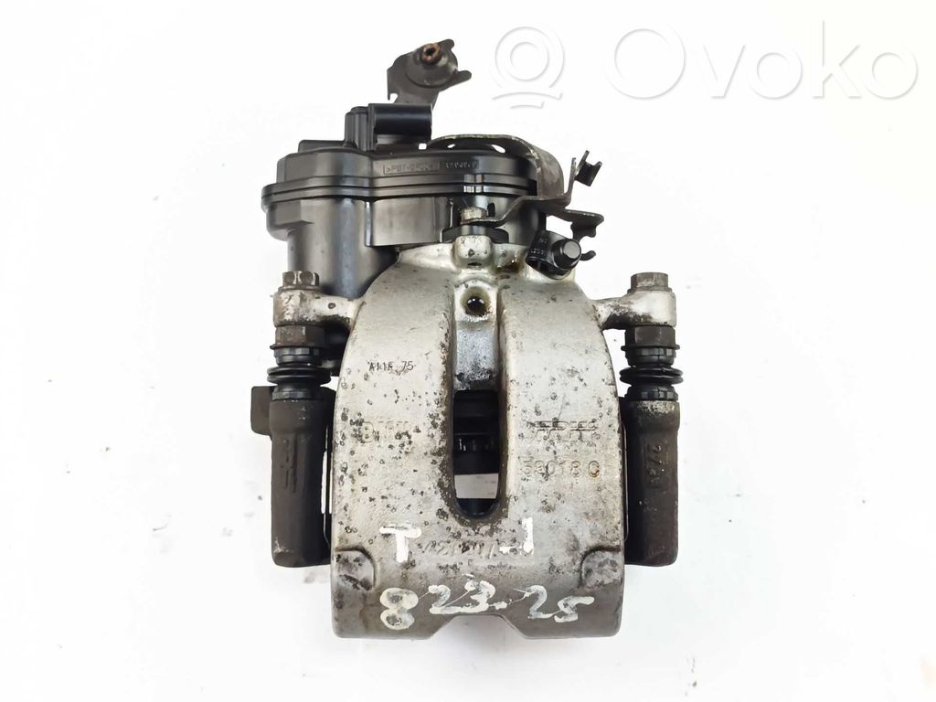 Takajarrusatula   34216870575