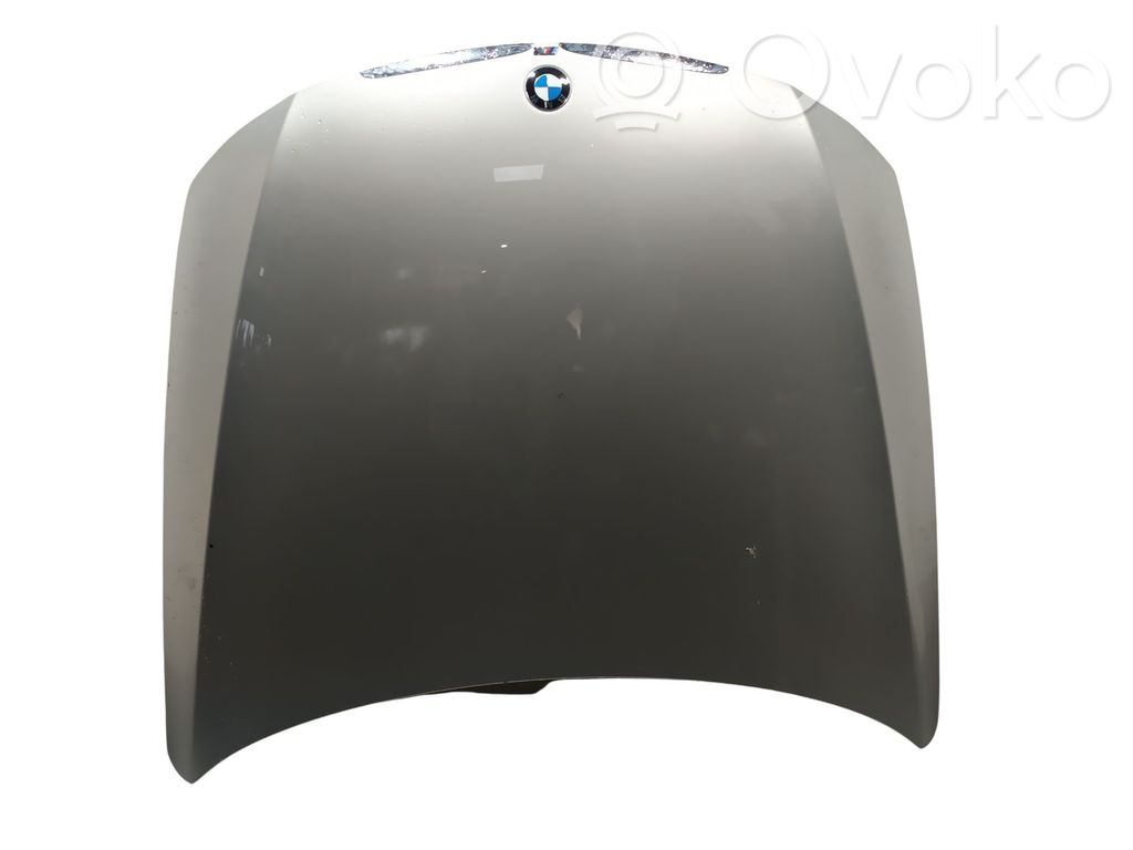 Capó/tapa del motor   41617140729